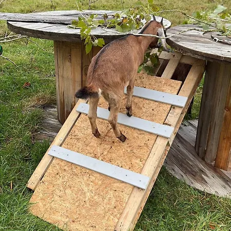 Wohnen In Der Ehemaligen Bauernstube Treia
