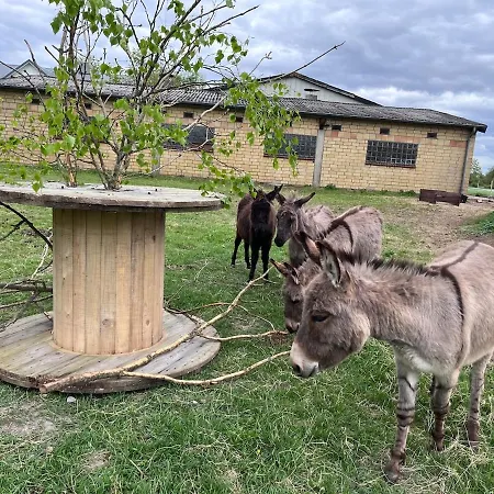 Wohnen In Der Ehemaligen Bauernstube Apartamento