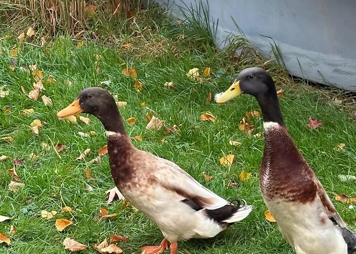 Wohnen In Der Ehemaligen Bauernstube * Treia