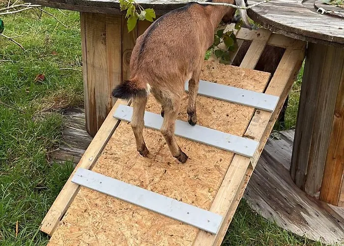 Wohnen In Der Ehemaligen Bauernstube Treia