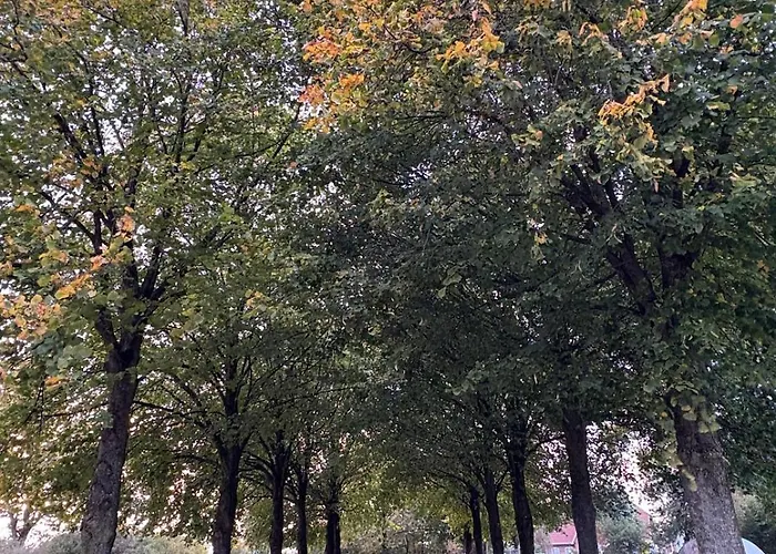 Wohnen In Der Ehemaligen Bauernstube Appartement Treia