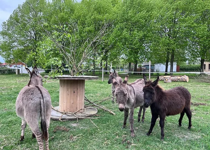 Wohnen In Der Ehemaligen Bauernstube Appartement *