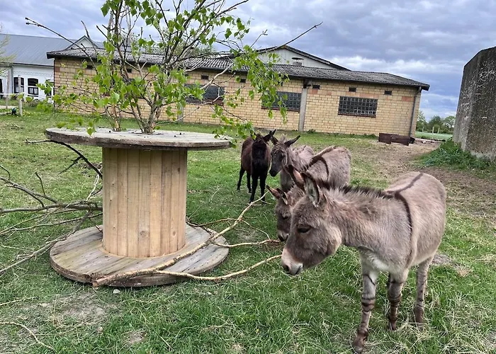 Wohnen In Der Ehemaligen Bauernstube Appartement