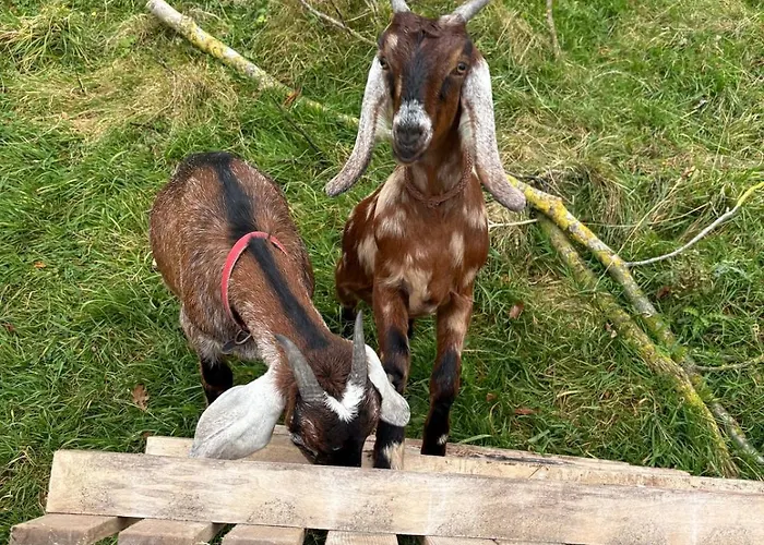 Appartement Wohnen In Der Ehemaligen Bauernstube