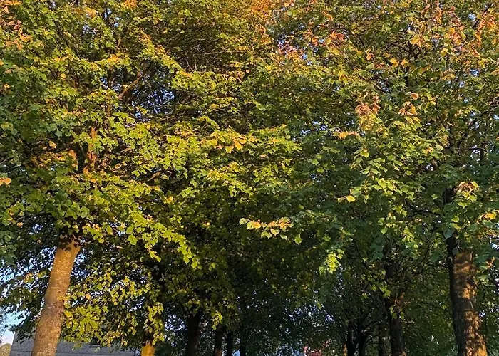 Wohnen In Der Ehemaligen Bauernstube Appartement