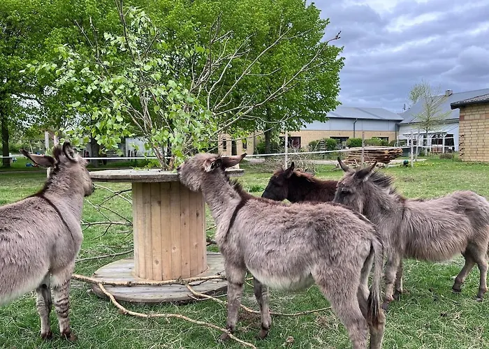 Wohnen In Der Ehemaligen Bauernstube Appartement